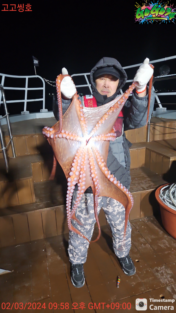 02_03_2024_09_54_34 오후_고고씽호.jpg