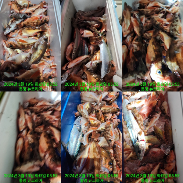 카카오스토리_2024_03_24 10_44_24.jpg