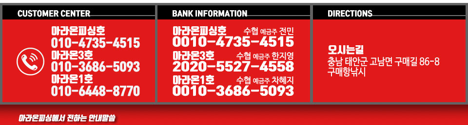 안면도 아라온피싱