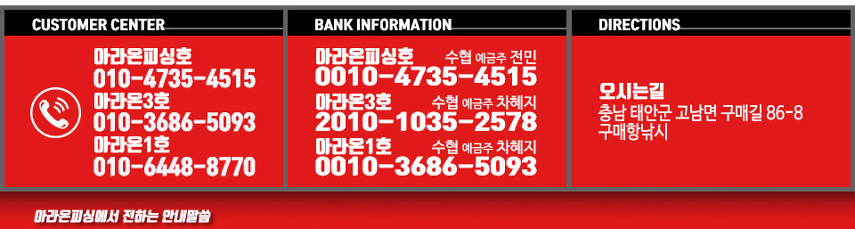 안면도 아라온피싱