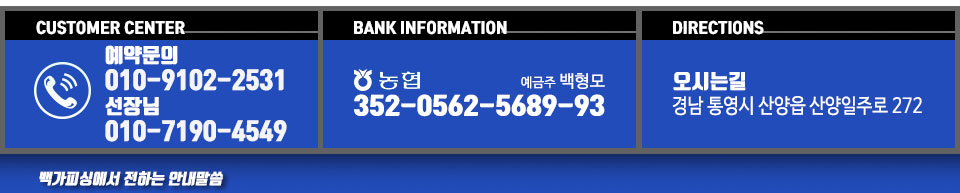 백가피싱