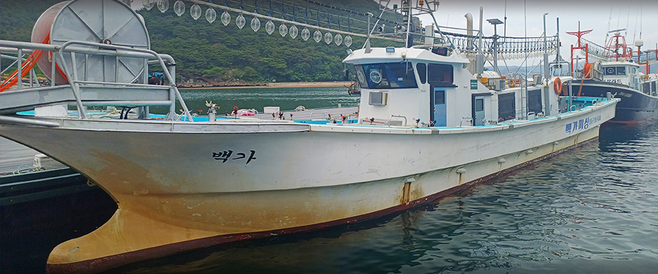 01.jpg