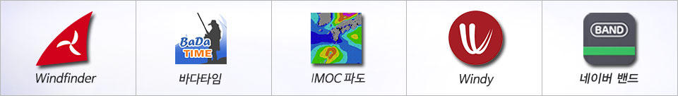 빙고피싱