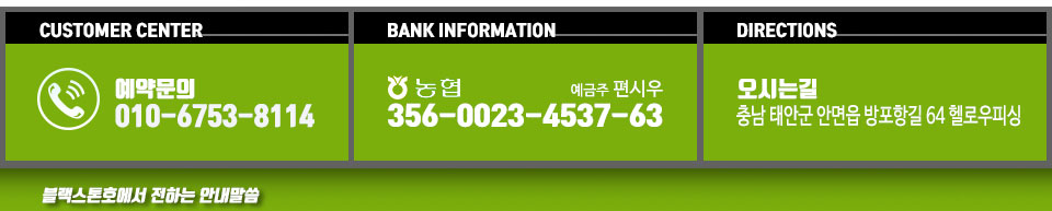 안면도 블랙스톤호
