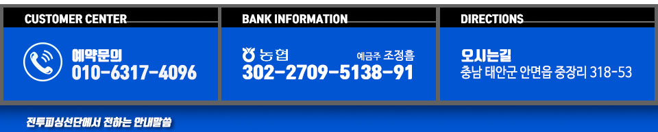 전투피싱선단