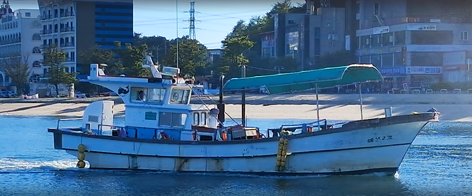 02.jpg