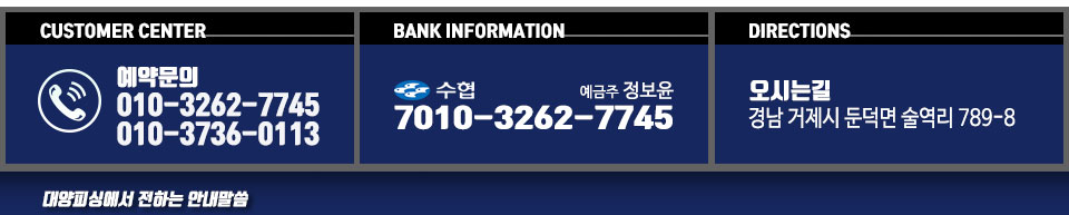 대양피싱