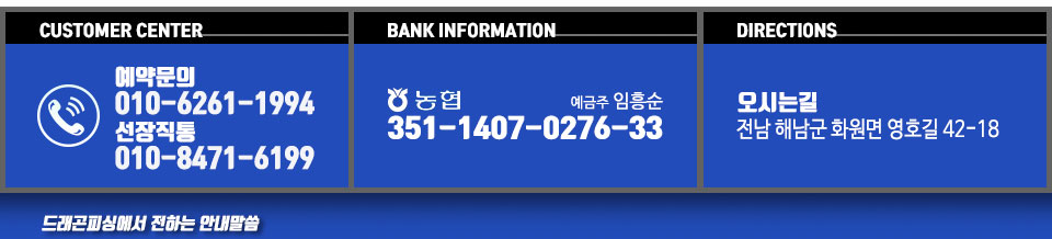 드래곤피싱