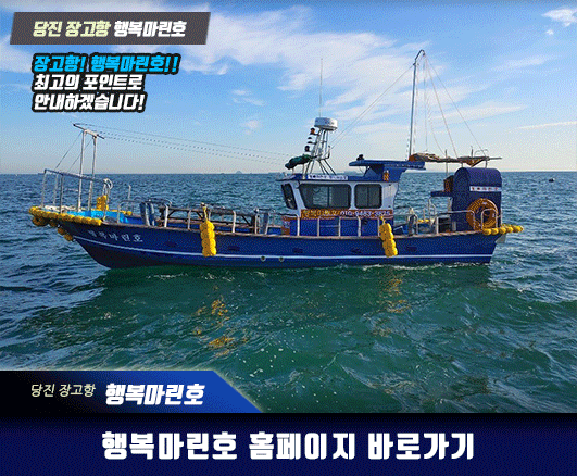 장고항 행복마린호 조황카드.gif