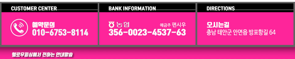 안면도 헬로우피싱