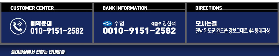 등대피싱