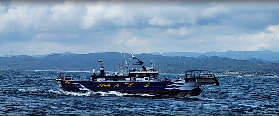 04.jpg