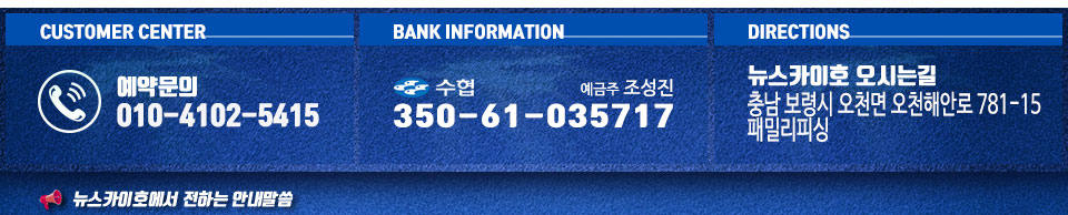 뉴스카이호