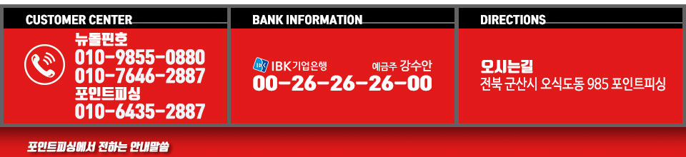 포인트피싱