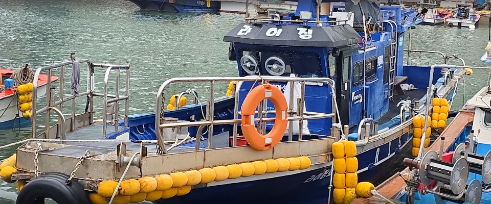 01.jpg