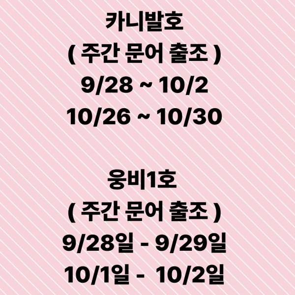 문어출조 (1).png
