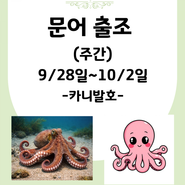 사본 - 문어출조 (2).png