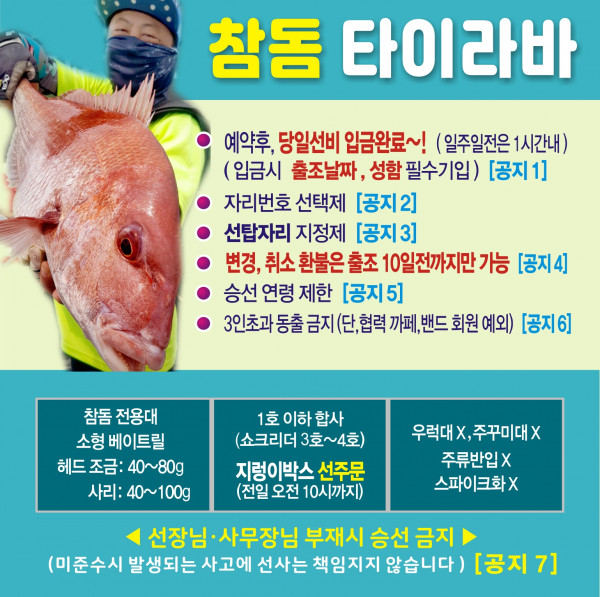 참돔 타이라바.jpg