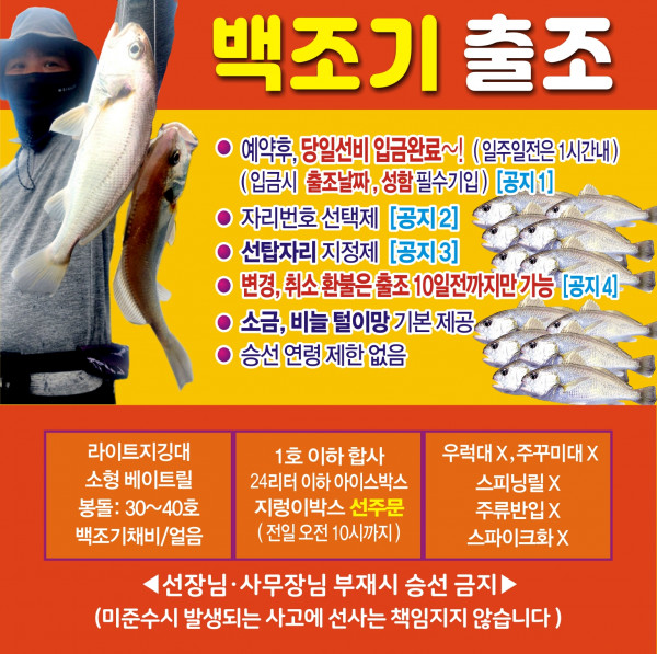 백조기.jpg