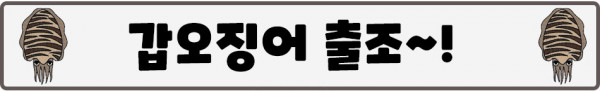 갑오징어문구.jpg