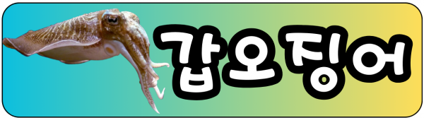 갑오징어 215.png