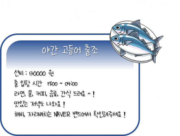 야간 고등어.png