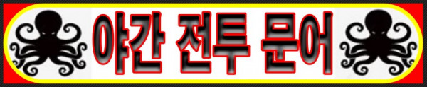 야간전투문어캡쳐.jpg