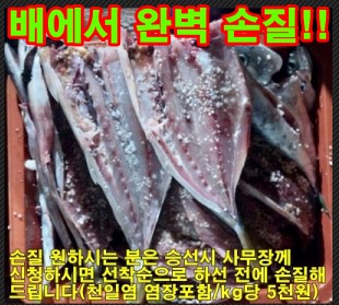 배에서 완벽손질 캡쳐.jpg