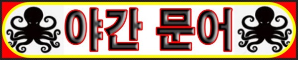 야간문어캡쳐.jpg