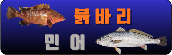 민어 붉.png