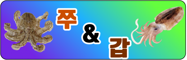 쭈갑.png