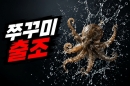 쭈꾸미1.jpg