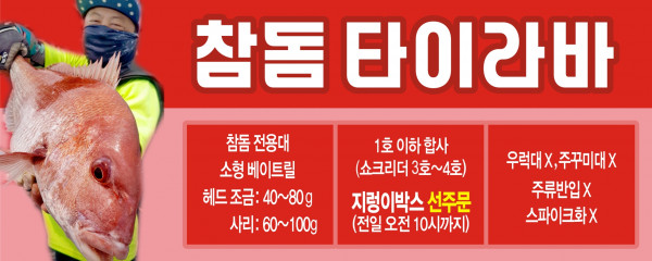 2026 참돔 숏.jpg