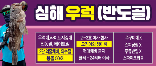 반도골 우럭 ㅡ 숏.jpg