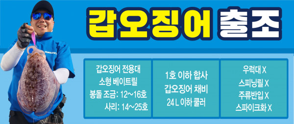 갑오징어 ㅡ 숏.jpg