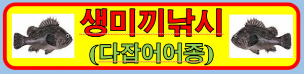 KakaoTalk_20260605_165432016.png