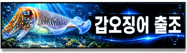 갑오징어.png