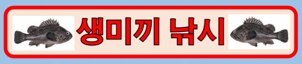 KakaoTalk_20260605_100543022.png
