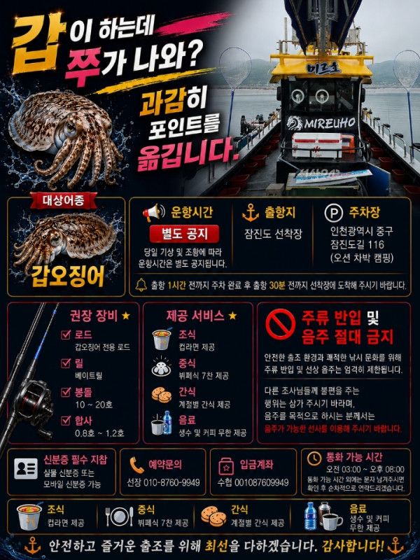 갑오징어.jpeg
