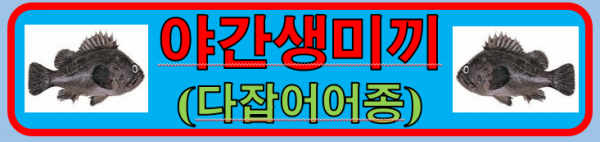 KakaoTalk_20260605_165531671.png
