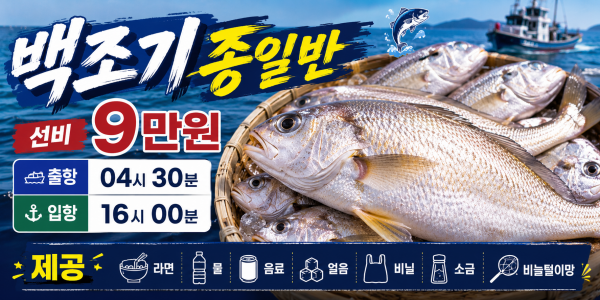 백조기 종일.png