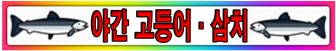 야간고삼캡쳐.jpg
