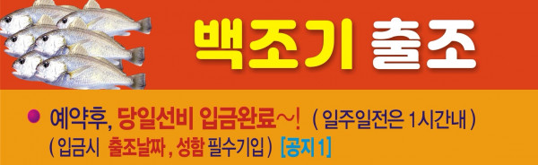 백조기 ㅡ 3호선.jpg