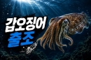 갑오징어2.jpg