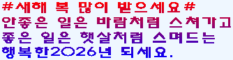 새해인사(토).PNG