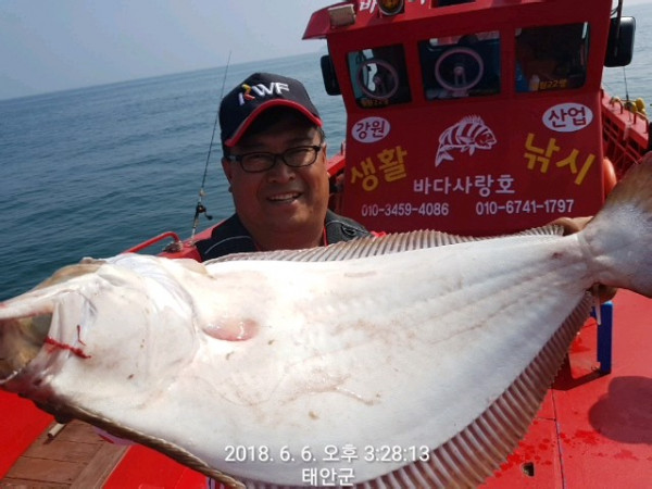 [2018년] 마검포항 바다사랑호 생활낚시 광어소식입니다 ~