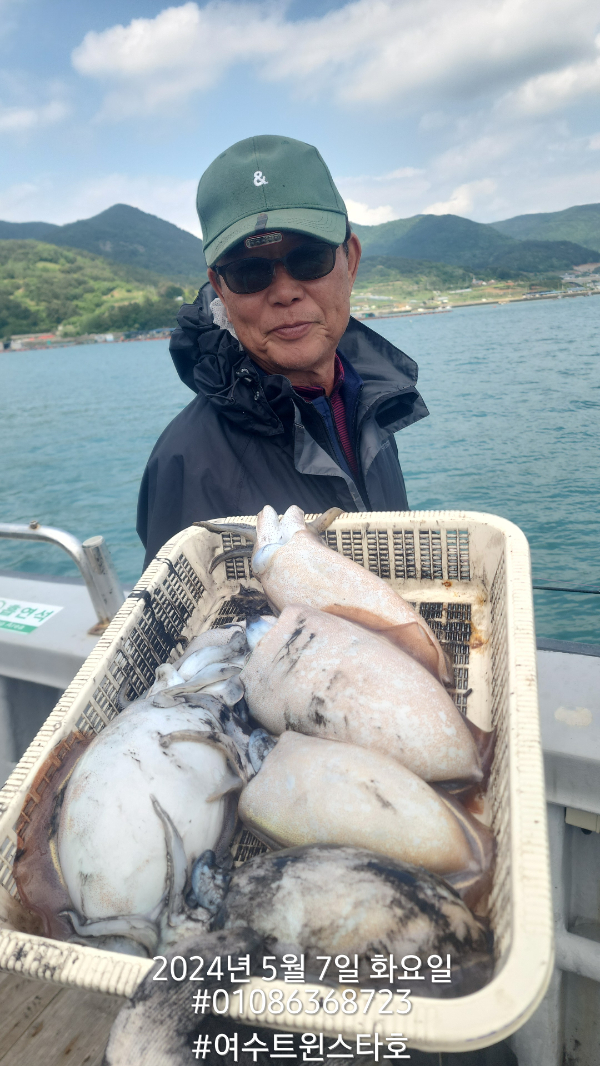 쭈.갑 먹물조황+ - 문어ㆍ갑오징어ㆍ낙지ㆍ목요일갑오징어자리가능01086368723