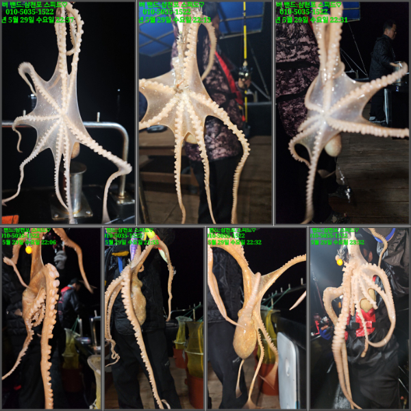 KakaoTalk_20240530_015141989_01 (1).jpg