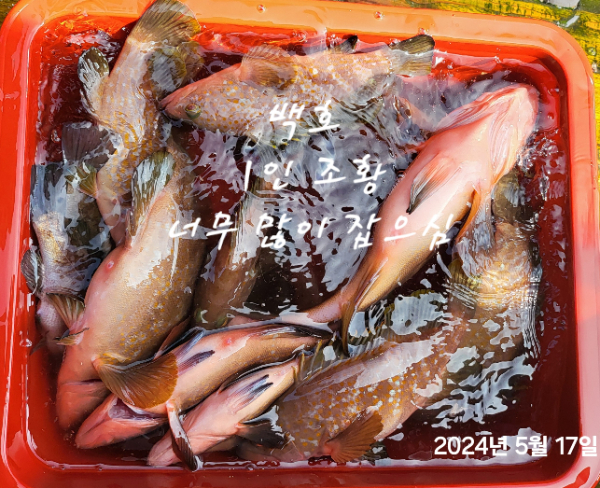 850183fd5445d5bf401bbe29978c48a3.jpg