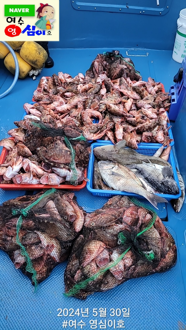 KakaoTalk_20240530_215411152_03.jpg
